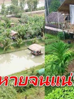 บนพื้นที่ดิน 1 ไร่ สร้างรายได้ตลอดทั้งปี จัดสรรพื้นที่ให้ถูก