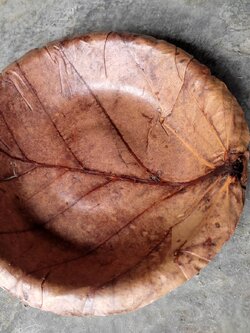 จานใบไม้กลม กว้าง 17 ซม. แพค 20 ใบ จานใบไม้ตองตึงธรรมชาติ จานใบไม้ธรรมชาติ จานใบตอง จานธรรมชาติ