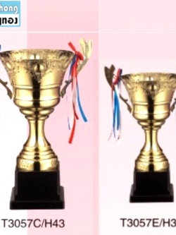 TPZ305 ถ้วยรางวัลโลหะ ZINC (ถ้วยใหญ่)