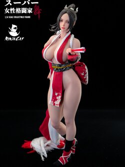 Ninja Cat N001 Female Fighter Mai