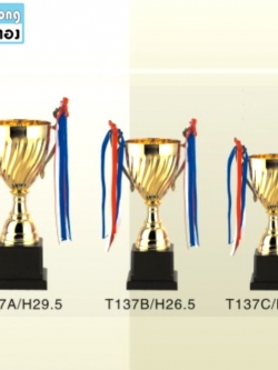 TPZ137 ถ้วยรางวัลโลหะ ZINC