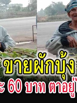 คุณตาวัย 77ปี ขายผักบุ้งเลี้ยงชีพได้วันละ 60บาท อยู่ได้สบาย
