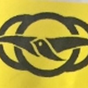 Hi-Qเมล็ดพันธุ์สลัดต่างประเทศชนิดเคลือบ