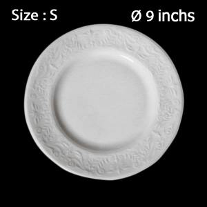 จานไซด์ S 1619-S