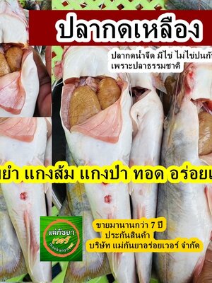 ปลาสด ปลาเขื่อน ปลาแม่น้ำ แนะนำอร่อย