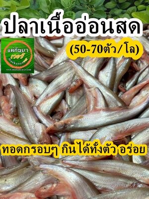 ปลาเนื้ออ่อนสด