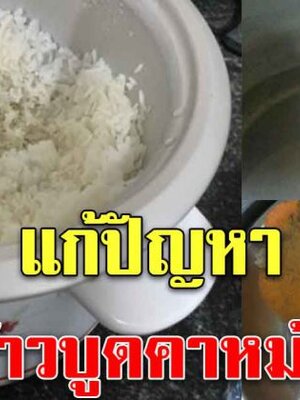 ข้าวบูด มีกลิ่นคาหม้อ หุงข้าวใหม่ก็บูด วิธีการแก้ให้หาย