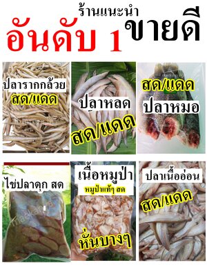 ปลาสด ปลาน้ำจืด ปลาเขื่อน ปลาพื้นบ้าน